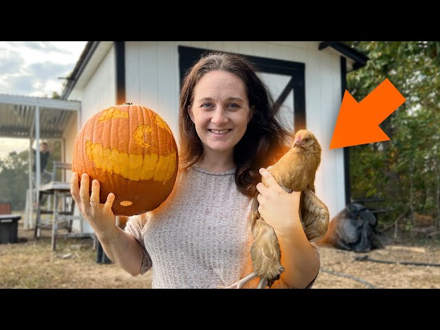 Amazing Pumpkin Carvings With My Chickens (RESULTS ARE SHOCKING!)