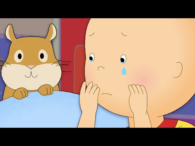 Caillou and the Dead Hamster ★ Funny Animated Caillou | Cartoons for kids | Caillou