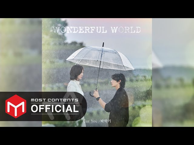 [OFFICIAL AUDIO] Park Hak-gi - Cuz You :: Wonderful World OST Part.1