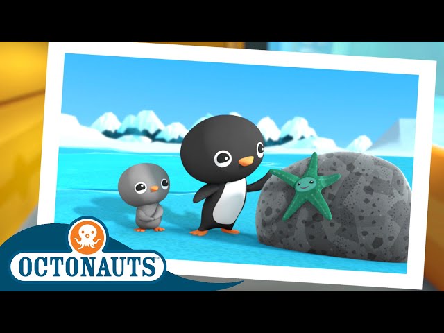 @Octonauts - The Great Arctic Adventure | Earth Day 🌎 Special! | Season 3 | Cartoons for Kids