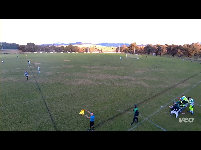 Mob of Kangaroos Ambush Soccer Game in Canberra, Australia