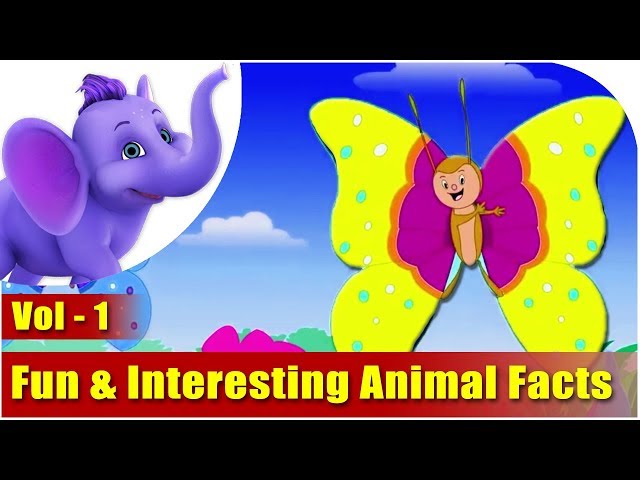 Fun & Interesting Animal Facts - Vol 1