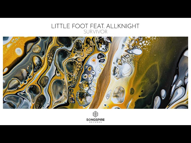 Little Foot feat. ALLKNIGHT - Survivor