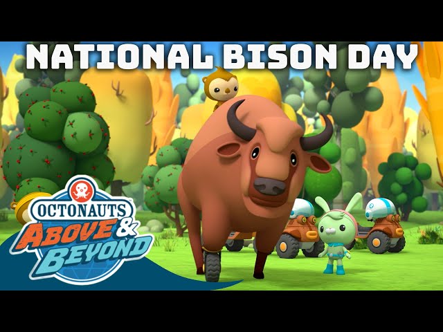 Octonauts: Above & Beyond - 🦬 Bison Rescue ⛑️ | National Bison Day | Compilation | @Octonauts​