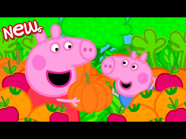 Peppa Pig Tales 🐷 Peppa's Fruit and Vegetable Hunt! 🐷 PEPPA PIG EPISODES