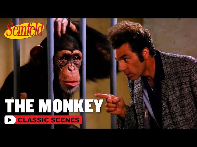 Kramer Has A Fight With A Monkey | The Face Painter | Seinfeld