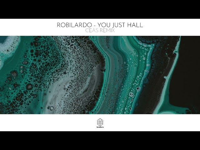 Robilardo - You Just Hall (Ceas Remix)