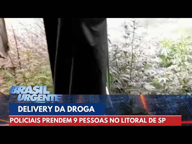 'Delivery da droga': 9 pessoas são presas no litoral de São Paulo | Brasil Urgente