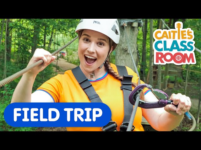 Caitie's Classroom Field Trip | Adventure Park In The Forest! | Perseverance Lesson for Kids