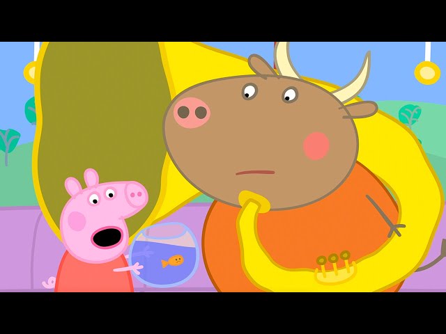 Goldie The Fish's Big Day Out 🚎 | Peppa Pig Official Full Episodes