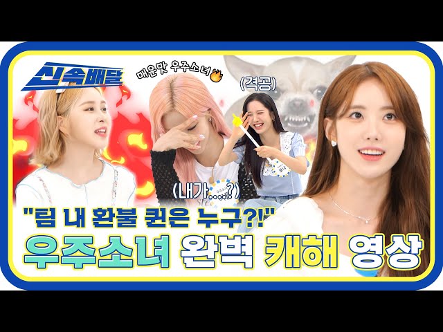 [신속배달] 우주소녀 ＂캐해 영상＂이라 쓰고 ＂입덕 영상＂이라 읽는다🤓 l #주간아이돌 l EP.569