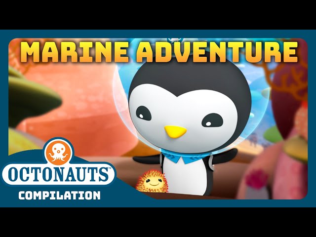 @Octonauts - 🐚 Ocean Marine Adventure! 🪸 | Bumper Pack Special! | Explore the Ocean