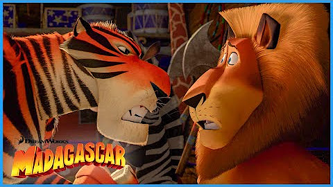 Madagascar | New Videos
