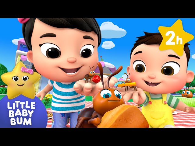 Ants go Marching Two by Two | Little Baby Bum Nursery Rhymes - Two Hour Baby Song Mix
