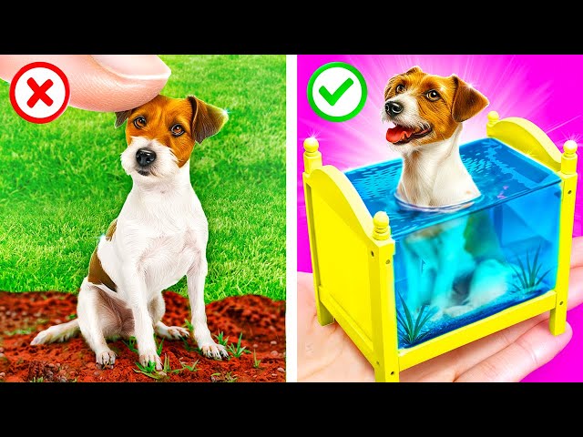 We Saved a Little Puppy! Incredible Gadgets for Pet Owners