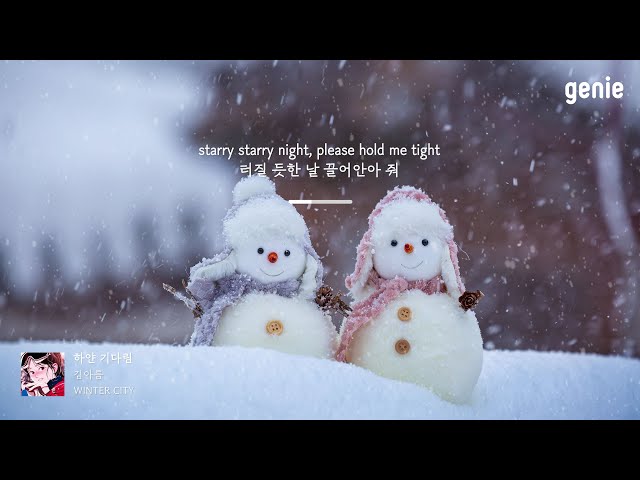 [4K] 겨울 추천곡☃ | 김아름 (KIM A REUM) - 하얀 기다림 (Starry Night) | #Lyrics