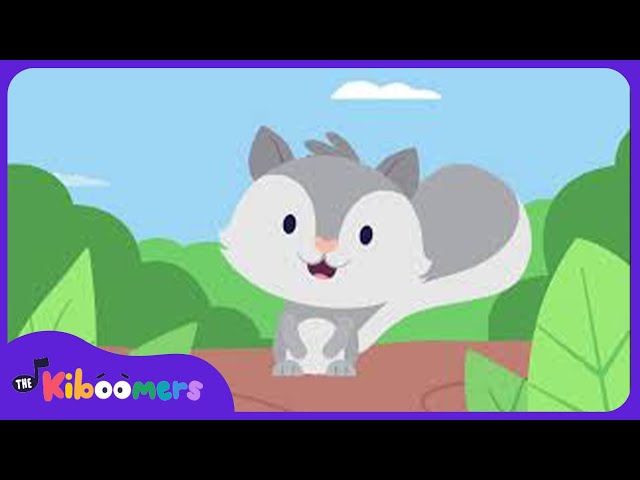 Grey Squirrel - The Kiboomers Preschool Songs & Nursery Rhymes About Animals