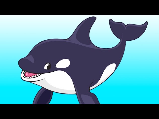 Learn Aquarium Animals | Talking Flashcards