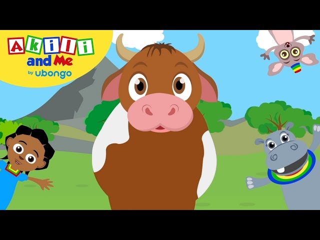 A Chicken a Cow and a Goat! | Animal Songs from Akili and Me | Educational Cartoons for Preschoolers