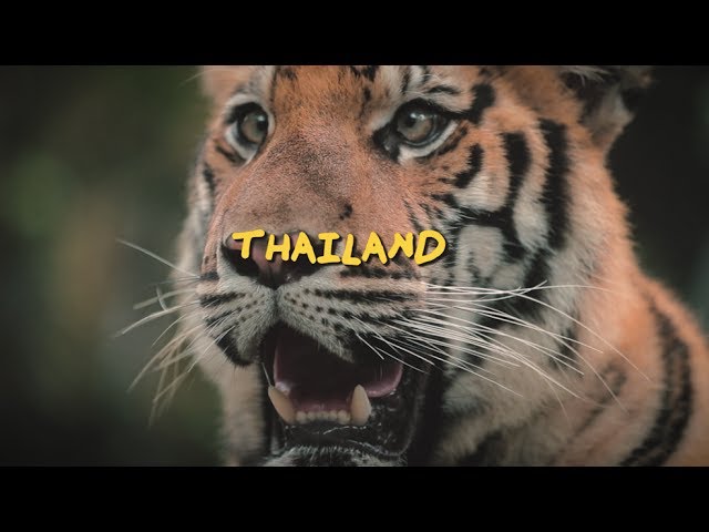 AMAZING THAILAND - A Jakob Owens Film