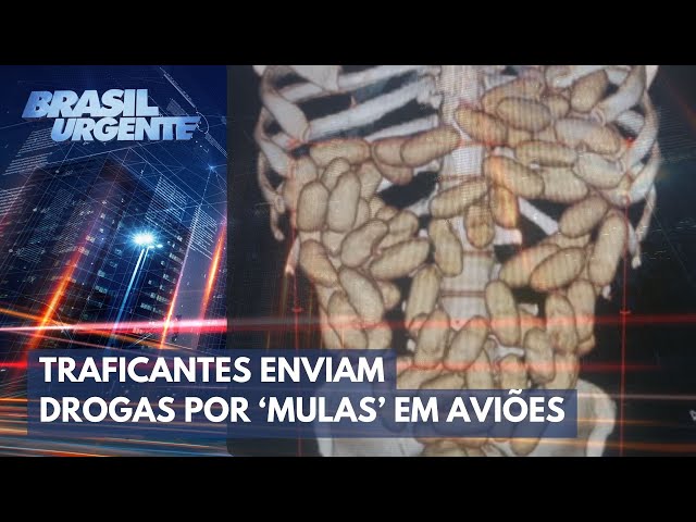 Mulas do tráfico aumentam no Aeroporto de Guarulhos | Brasil Urgente