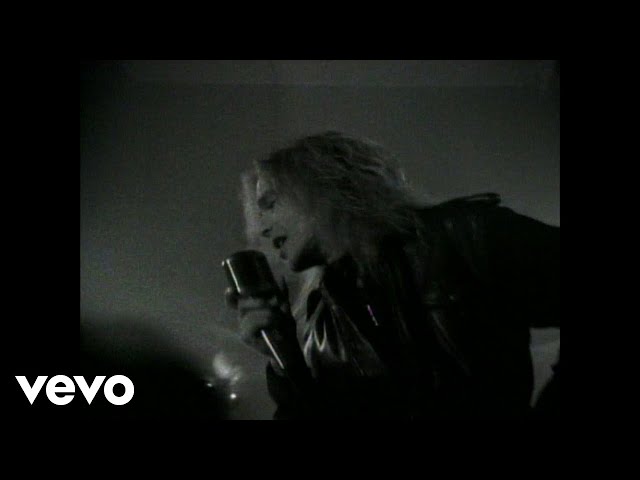 Cheap Trick - Never Had a Lot to Lose (Video)