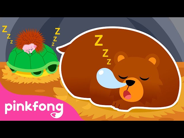 Hibernation Hotel | Storytime with Pinkfong and Animal Friends | Cartoon | Pinkfong for Kids