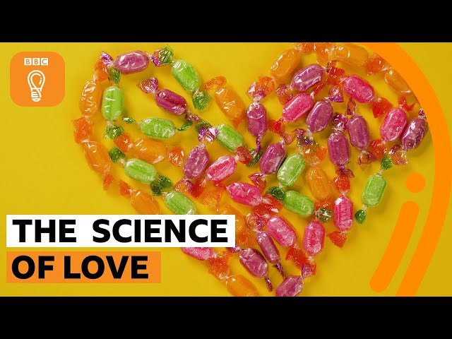 What is love from a neuroscientific perspective? 🤔❤️‍🔥 BBC
