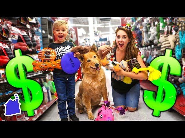 Buying My Dog Everything He Touches! *No Budget Challenge* 🐶💰