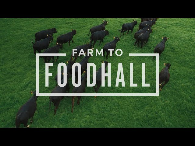 100% Traceable M&S Beef | Farm to Foodhall | M&S FOOD