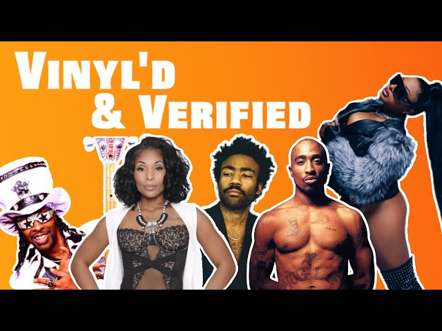 The Sample Behind Megan Thee Stallion “B.I.T.C.H.” | Vinyl’d & Verified