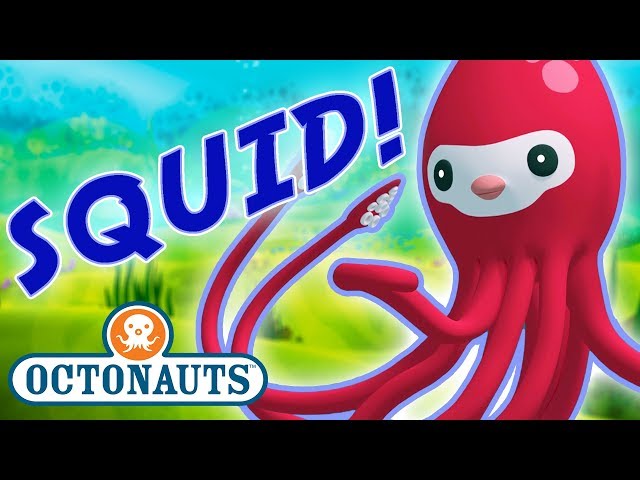 Octonauts - Learn about Squid & Octopuses | Cartoons for Kids | Underwater Sea Education