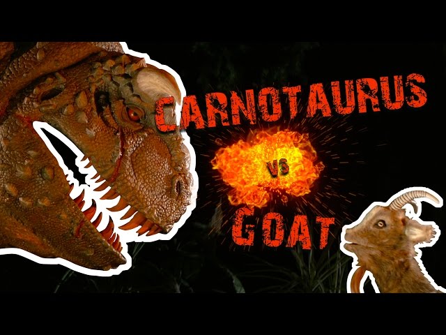 Carnotaurus vs Goat - Screaming Contest | Walt Disney World Goat Friends | WDW Best Day Ever