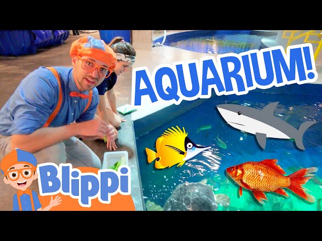Blippi Visits an Aquarium (Ody Aquarium) | Blippi Full Episodes | Sea Animals for Kids | Blippi Toys