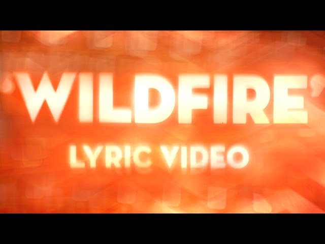 blink-182 - Wildfire