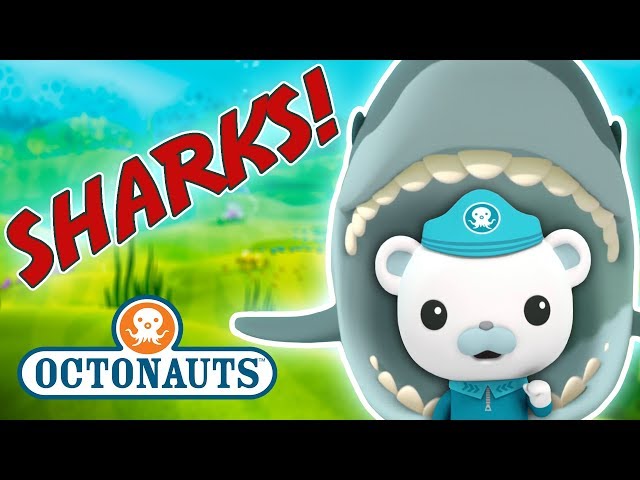 Octonauts - Learn about Sharks | Cartoons for Kids | Underwater Sea Education