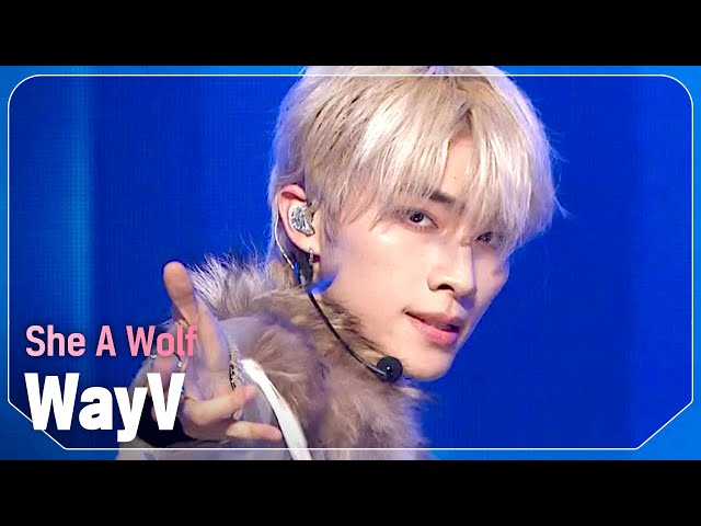 웨이션브이(WayV) - She A Wolf l Show Champion l EP.520 l 240605