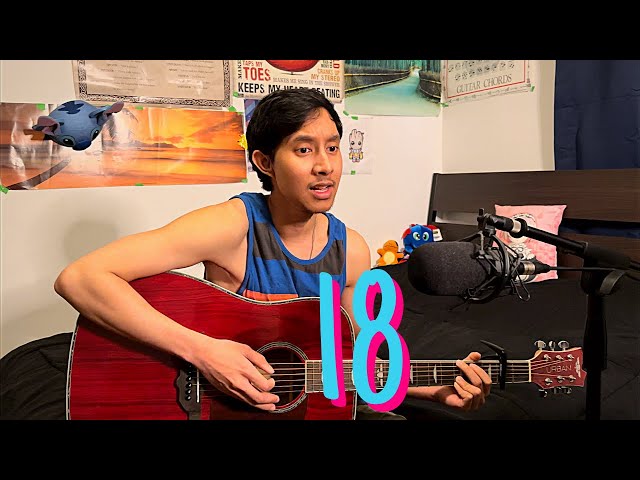 18 - One Direction | Cover by JQ