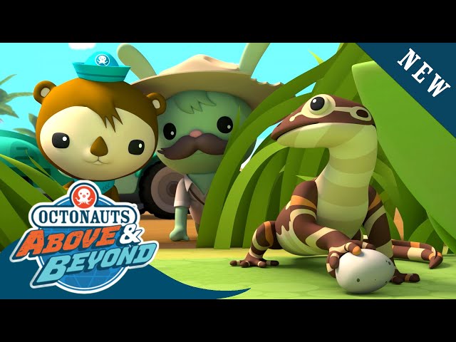 Octonauts: Above & Beyond - Meet Ronny the Monitor Lizard 🦎 | Season 2 | @Octonauts​