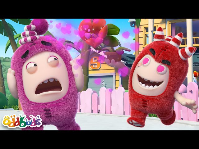 Valentine Daze! | Valentines Day Special! | Oddbods Full Episode | Funny Cartoons for Kids