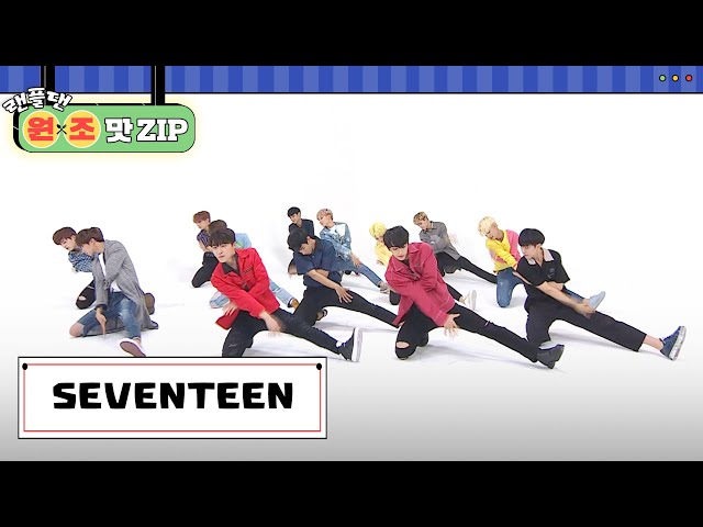 세븐틴 (SEVENTEEN) 랜덤 플레이 댄스 l #랜플댄원조맛ZIP l RandomPlayDance