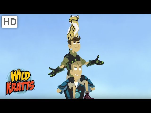 Wild Kratts - Making Friends With Wild Animals | Kids Videos