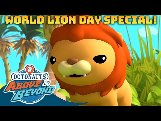 Octonauts: Above & Beyond - Big Cats 🦁 | World Lion Day Special! | Compilation | @Octonauts​