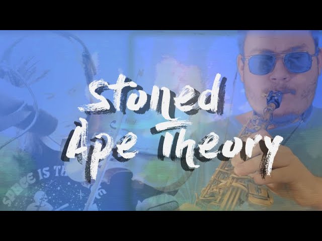 Donkey Kong Country - Stoned Ape Theory (Aquatic Ambience Reimagined)