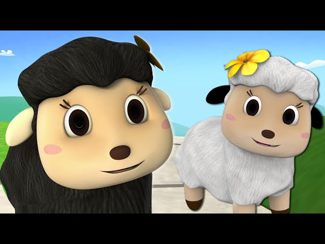 Baa Baa Black Sheep + Nursery Rhymes and Kids Songs By HooplaKidz