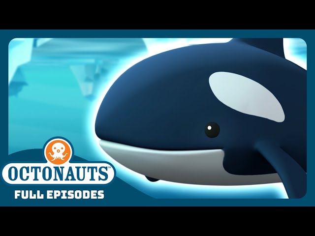 @Octonauts - 🧊 The Arctic Orcas 🐳 | Season 1 | Full Episodes | Cartoons for Kids