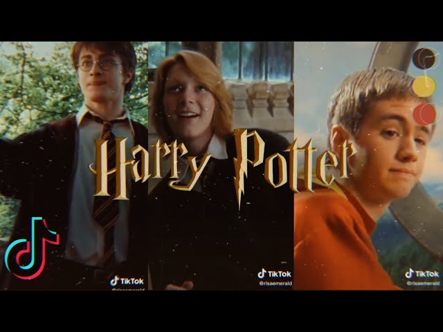 Random Harry Potter TikTok (Part 18)
