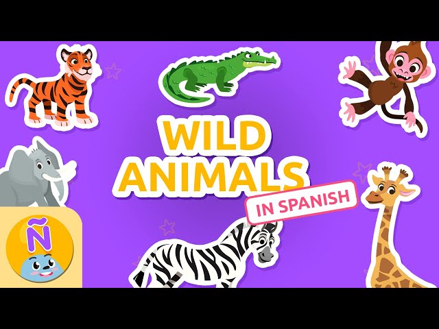ANIMALES SALVAJES 🦁 WILD ANIMALS 🐘 Spanish Vocab for Kids