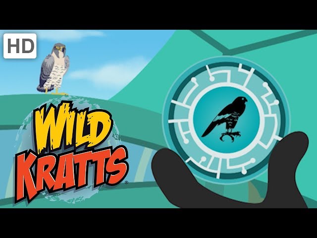 Wild Kratts 🦅 Fly Up High with Creature Powers! | Kids Videos