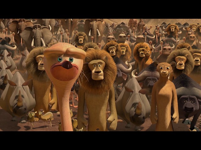 DreamWorks Madagascar | Relocate The Riff Raff | Madagascar: Escape 2 Africa Movie Clip